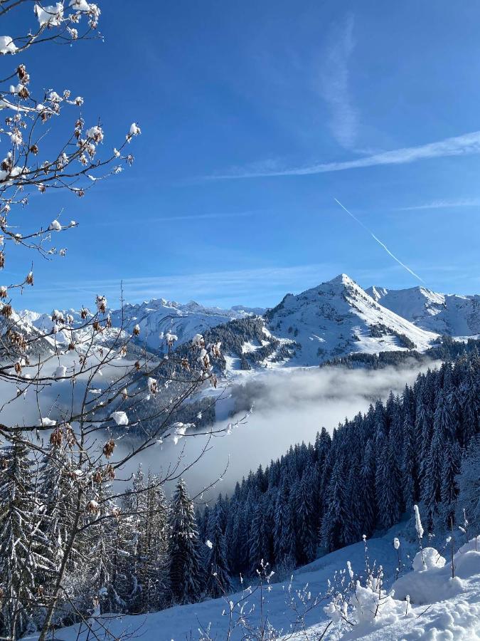 Hotel Rhodos Morzine Авориаз Экстерьер фото